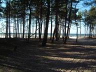 Resize of DSCF2537.JPG